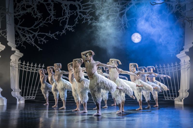Enigmatic: The Swan, Will Bozier, and menacing ensemble of male swans. Image by Johan Persson.